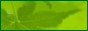 12100315397b7b2cad22e5d479.gif